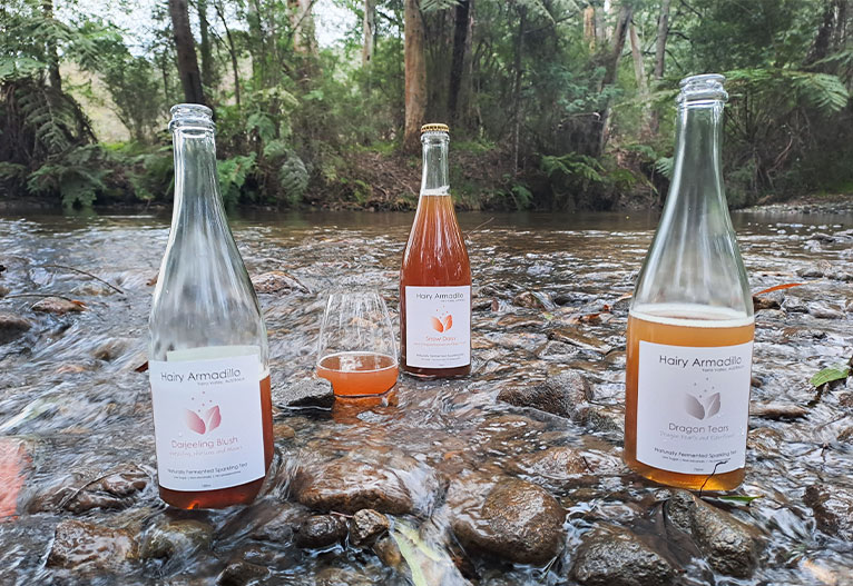 Hairy Armadillo sparkling tea on a river bed.