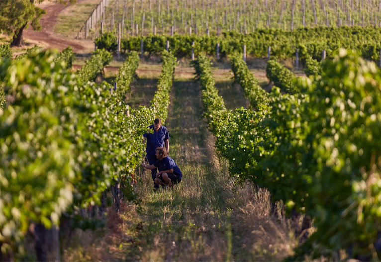 Deep Woods Winery in Margaret River, Western Australia.