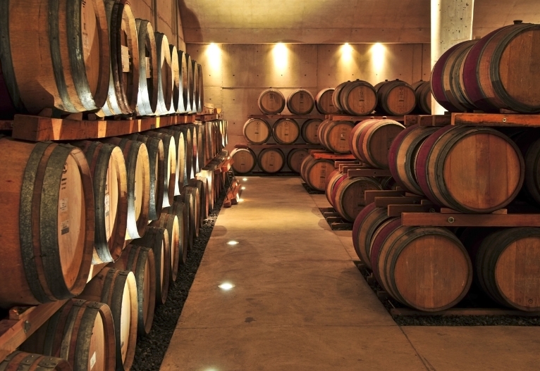 Cellar full of wine barrels.