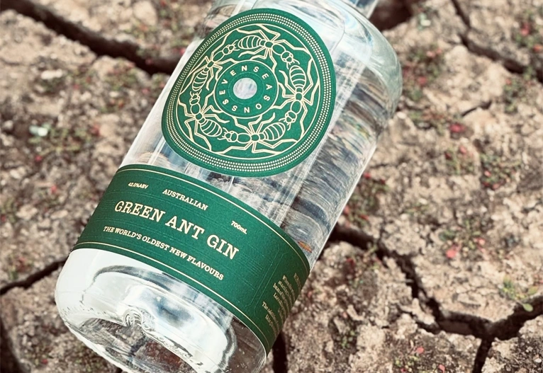 Bottle of Green Ant Gin on the ground.